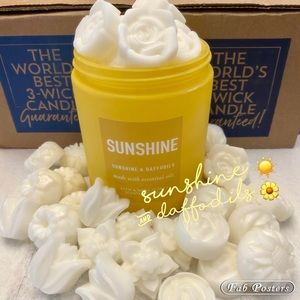 COPY - Sunshine & Daffodils BBW wax melts